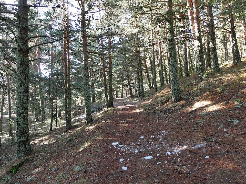 Sendero junto al A.R. Las Lagunillas